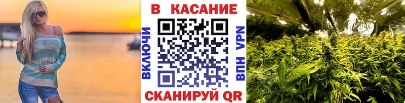 Виды наркотиков купить Рудня Гашиш  Марихуана  A PVP  ссылка на мегу ONION  КОКАИН  Мефедрон  MDMA 