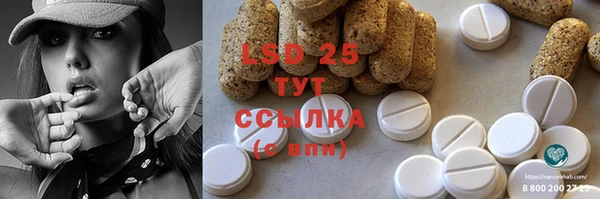 стаф Осташков