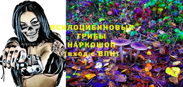стаф Осташков