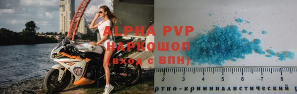 стаф Осташков