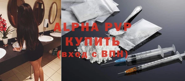 стаф Осташков
