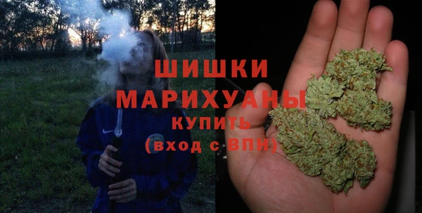 стаф Осташков