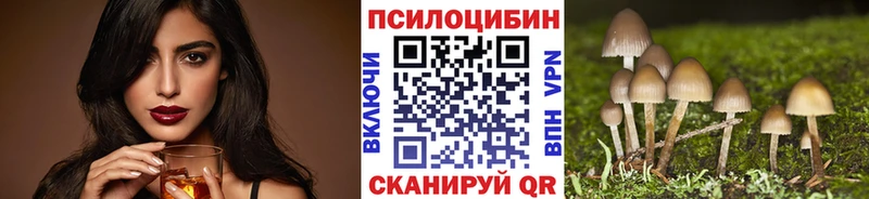 Псилоцибиновые грибы прущие грибы Рудня